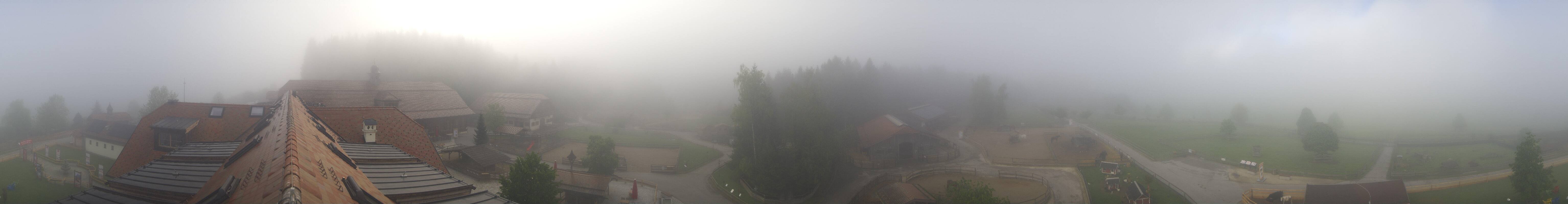 Archiv Foto Webcam Henndorf am Wallersee - Gut Aiderbichl