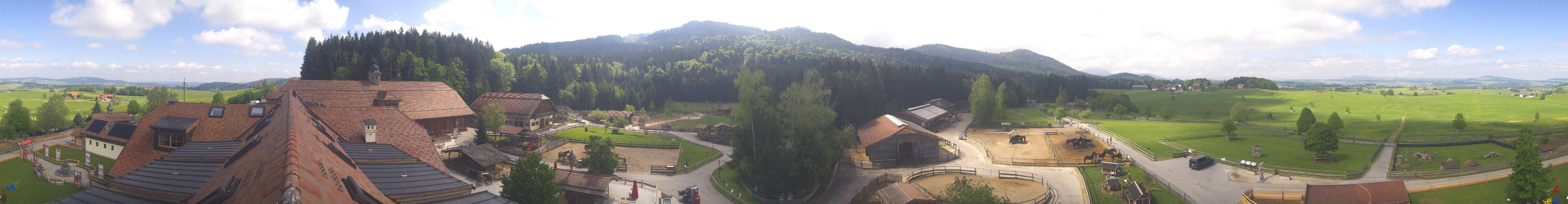 Archiv Foto Webcam Henndorf am Wallersee - Gut Aiderbichl