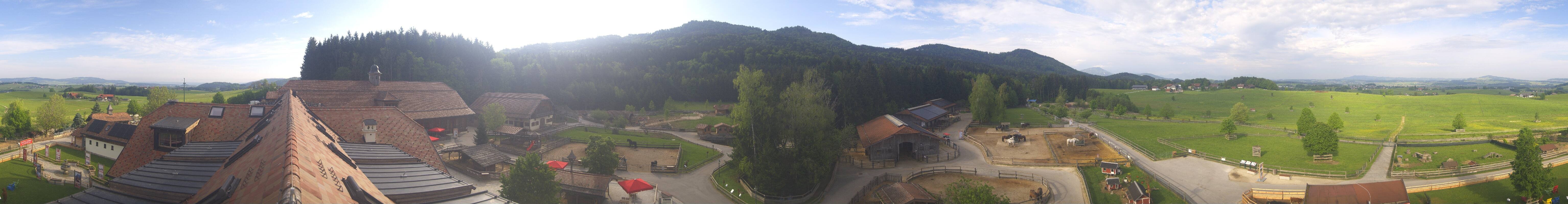 Archiv Foto Webcam Henndorf am Wallersee - Gut Aiderbichl