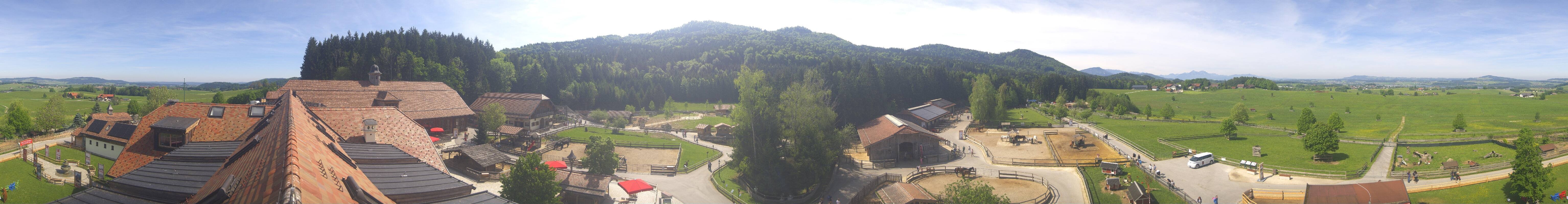 Archiv Foto Webcam Henndorf am Wallersee - Gut Aiderbichl