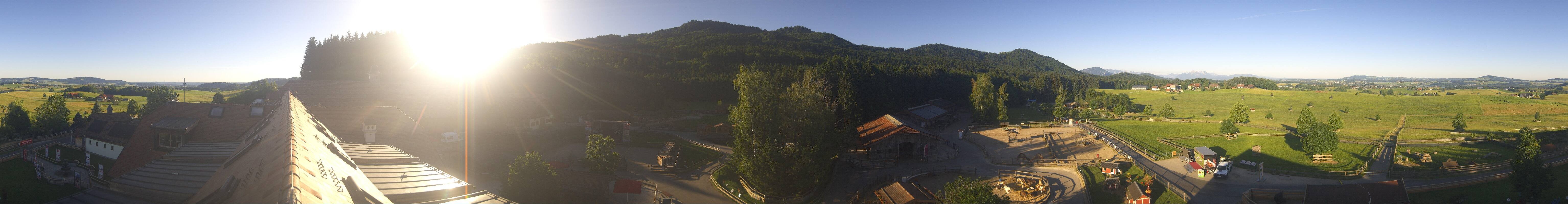 Archiv Foto Webcam Henndorf am Wallersee - Gut Aiderbichl