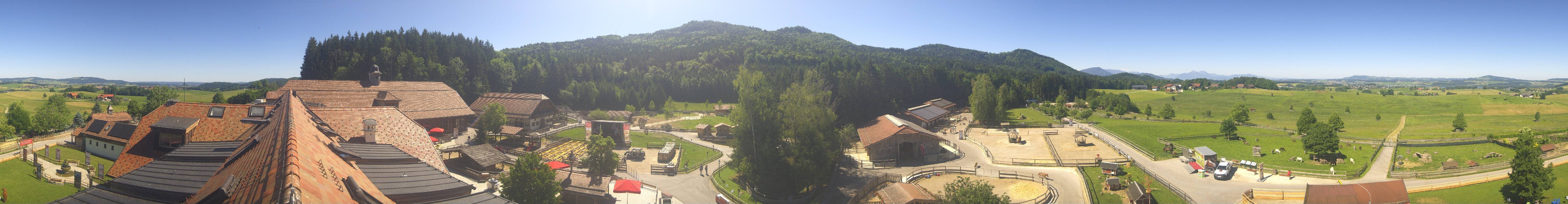 Archiv Foto Webcam Henndorf am Wallersee - Gut Aiderbichl