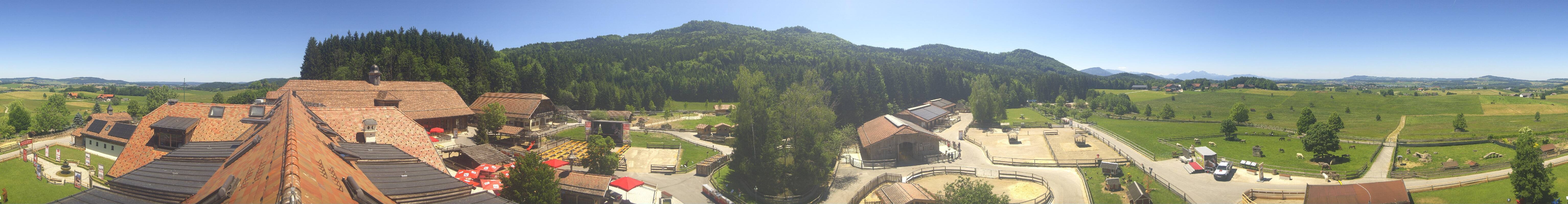 Archiv Foto Webcam Henndorf am Wallersee - Gut Aiderbichl