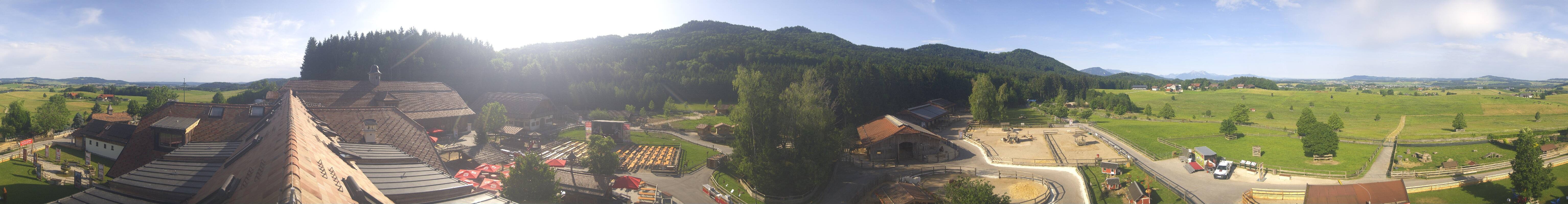 Archiv Foto Webcam Henndorf am Wallersee - Gut Aiderbichl