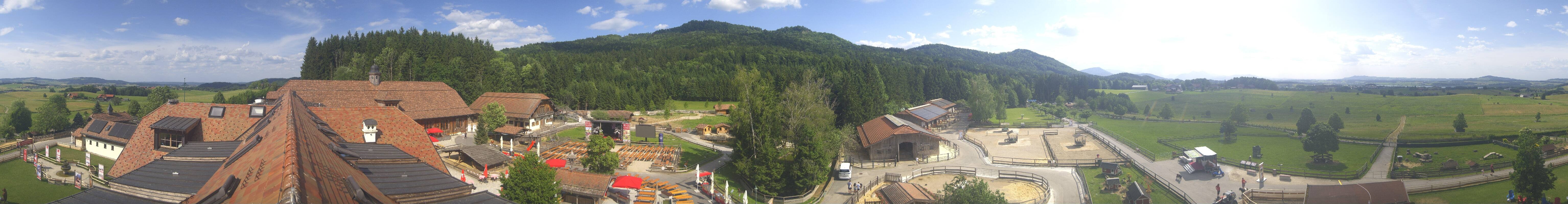 Archiv Foto Webcam Henndorf am Wallersee - Gut Aiderbichl
