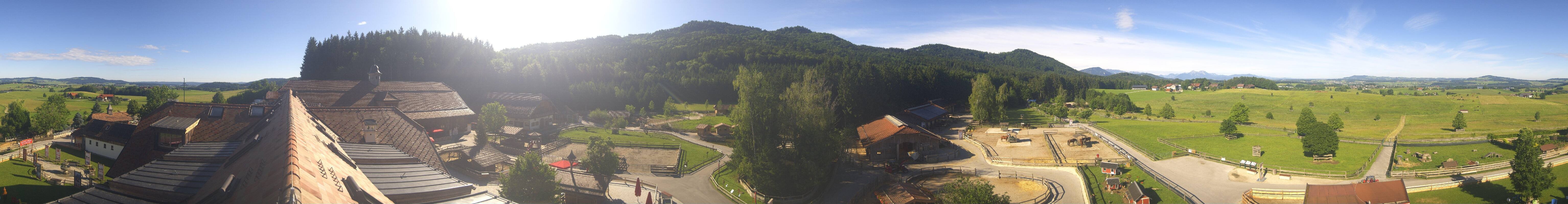 Archiv Foto Webcam Henndorf am Wallersee - Gut Aiderbichl