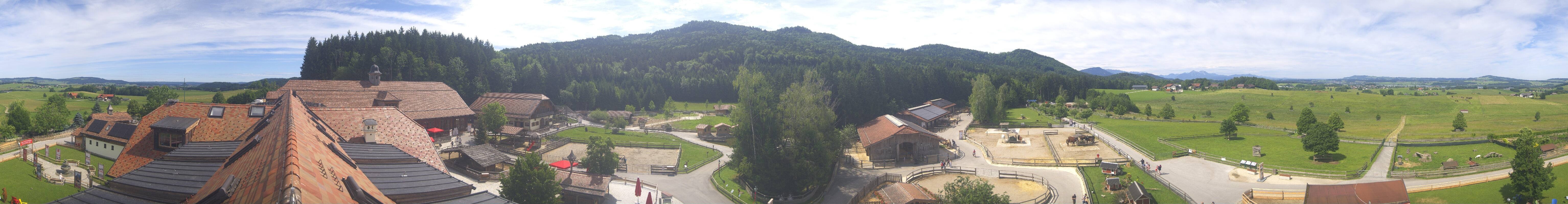Archiv Foto Webcam Henndorf am Wallersee - Gut Aiderbichl