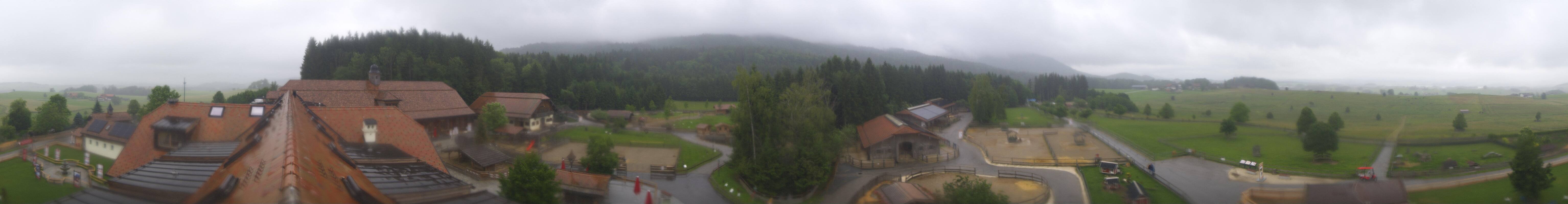 Archiv Foto Webcam Henndorf am Wallersee - Gut Aiderbichl