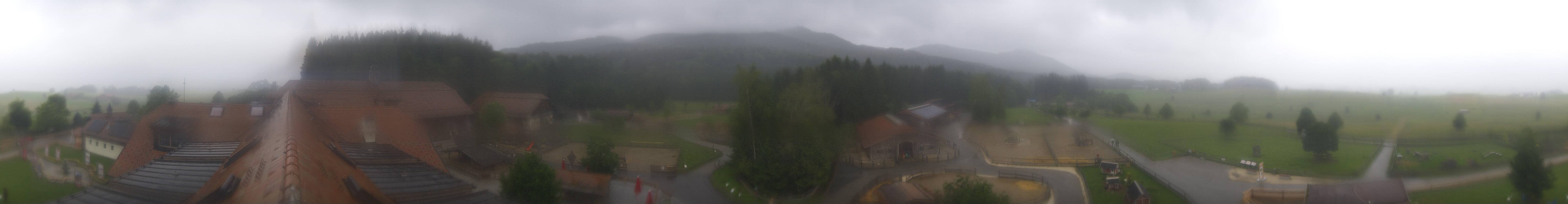 Archiv Foto Webcam Henndorf am Wallersee - Gut Aiderbichl