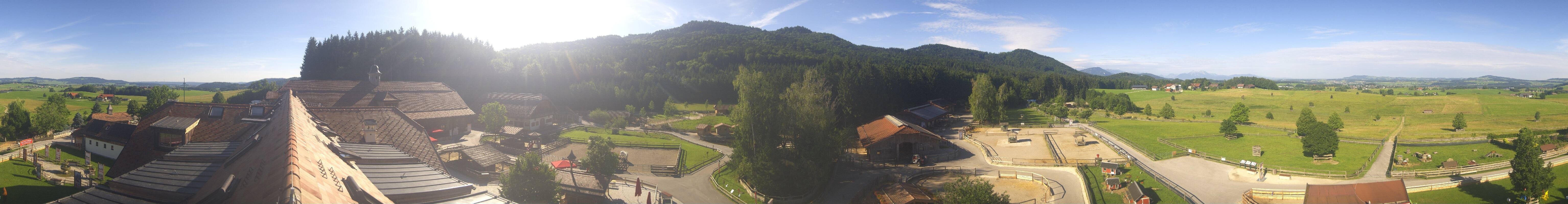 Archiv Foto Webcam Henndorf am Wallersee - Gut Aiderbichl