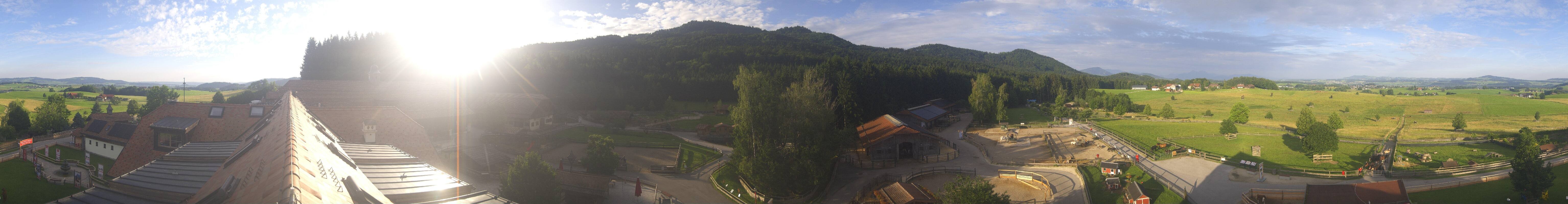 Archiv Foto Webcam Henndorf am Wallersee - Gut Aiderbichl
