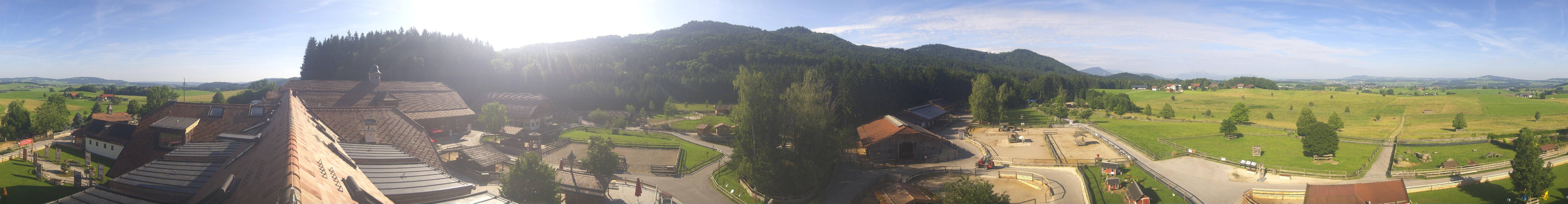 Archiv Foto Webcam Henndorf am Wallersee - Gut Aiderbichl