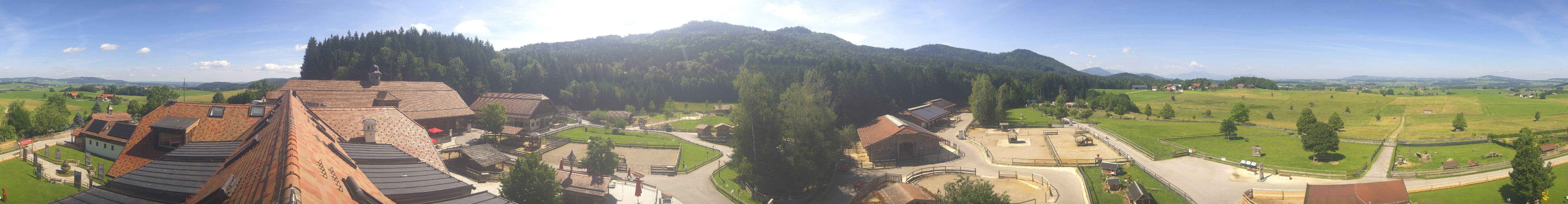 Archiv Foto Webcam Henndorf am Wallersee - Gut Aiderbichl
