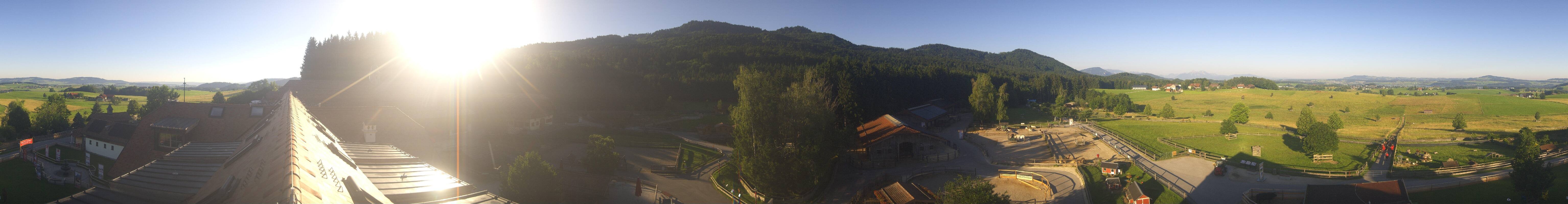 Archiv Foto Webcam Henndorf am Wallersee - Gut Aiderbichl