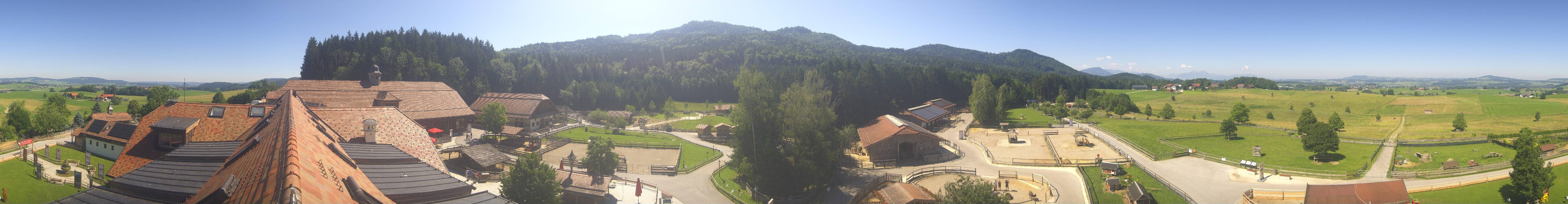 Archiv Foto Webcam Henndorf am Wallersee - Gut Aiderbichl