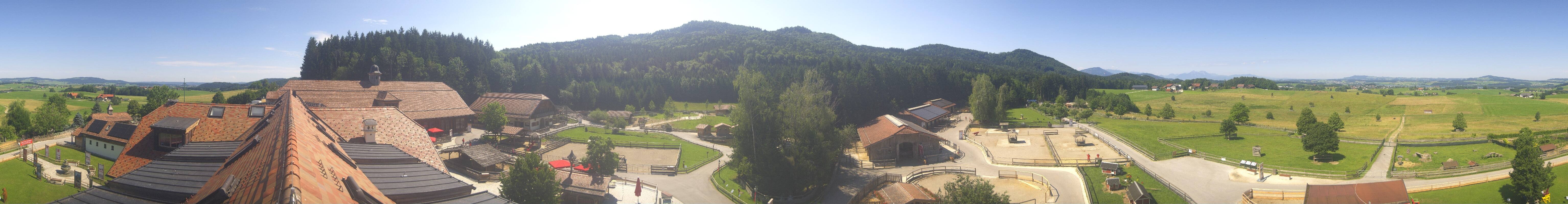 Archiv Foto Webcam Henndorf am Wallersee - Gut Aiderbichl