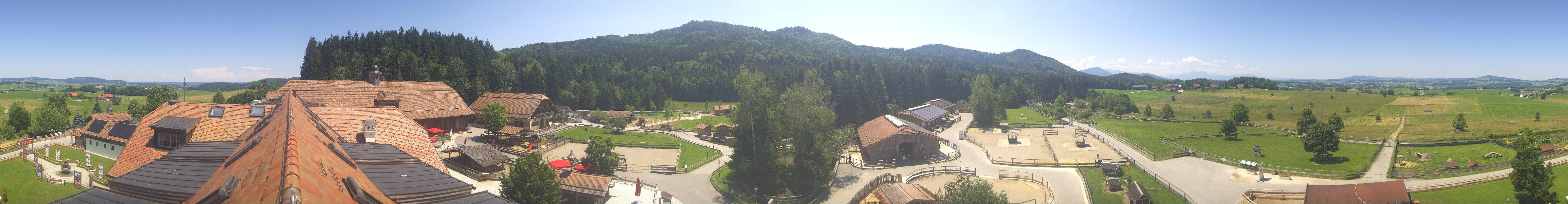 Archiv Foto Webcam Henndorf am Wallersee - Gut Aiderbichl
