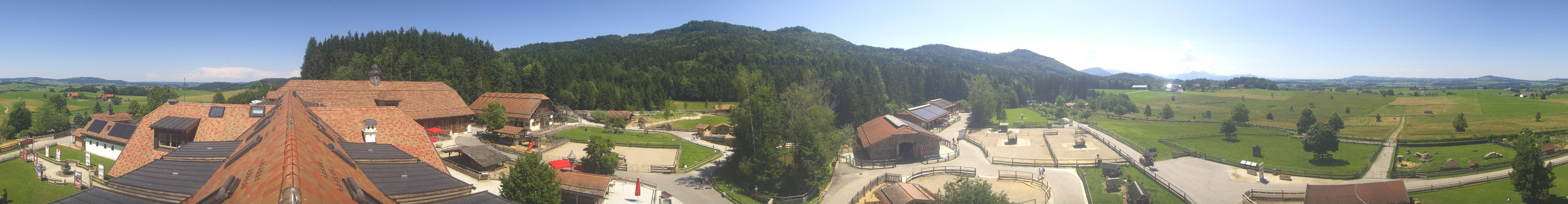 Archiv Foto Webcam Henndorf am Wallersee - Gut Aiderbichl