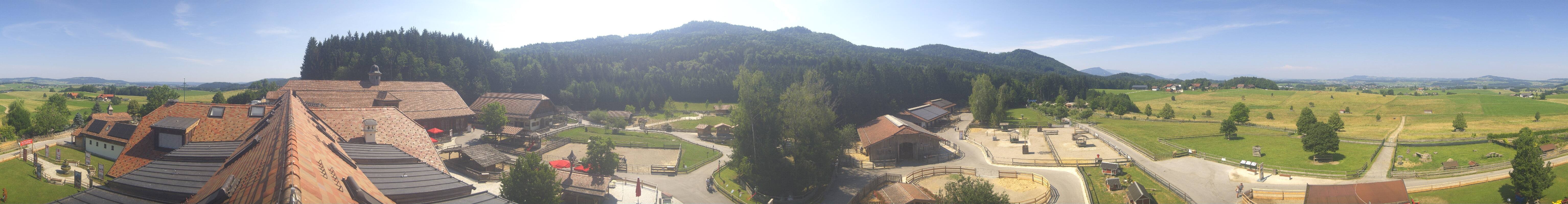 Archiv Foto Webcam Henndorf am Wallersee - Gut Aiderbichl