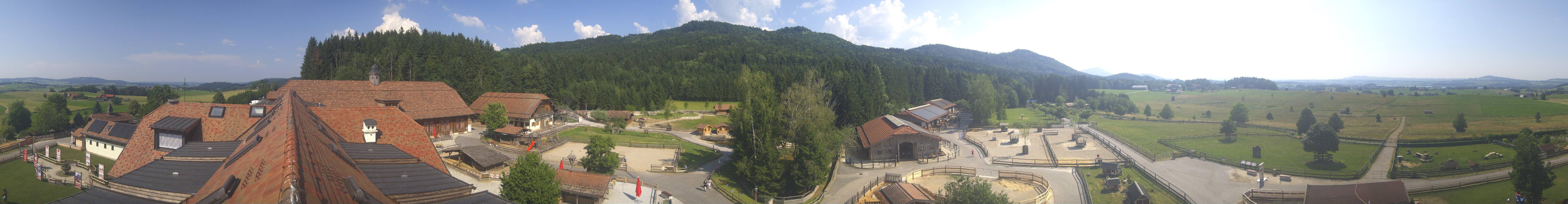 Archiv Foto Webcam Henndorf am Wallersee - Gut Aiderbichl
