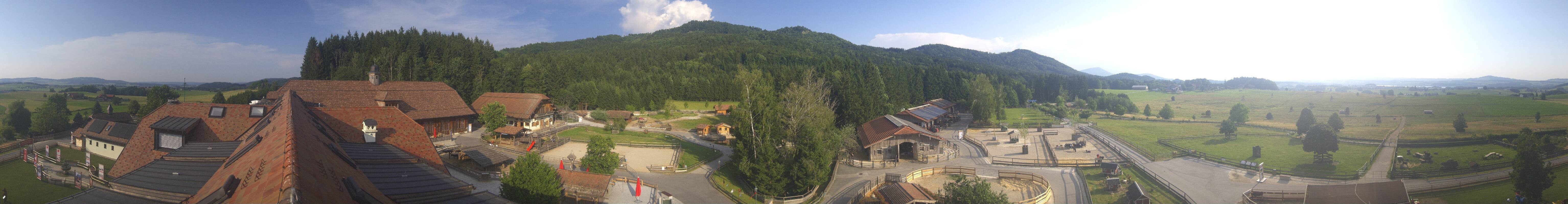 Archiv Foto Webcam Henndorf am Wallersee - Gut Aiderbichl