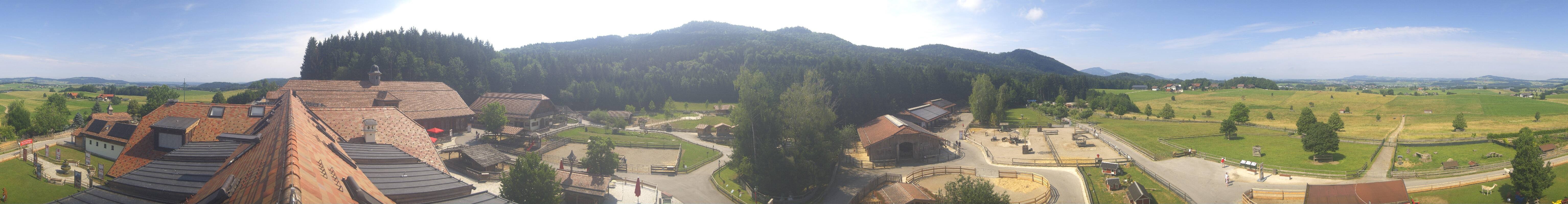 Archiv Foto Webcam Henndorf am Wallersee - Gut Aiderbichl