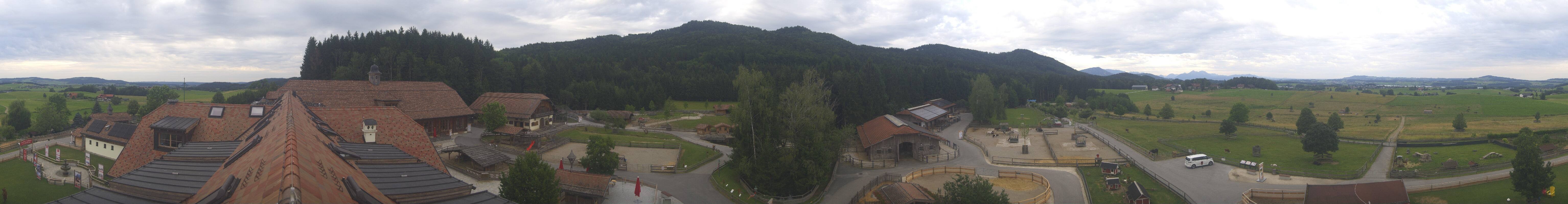 Archiv Foto Webcam Henndorf am Wallersee - Gut Aiderbichl