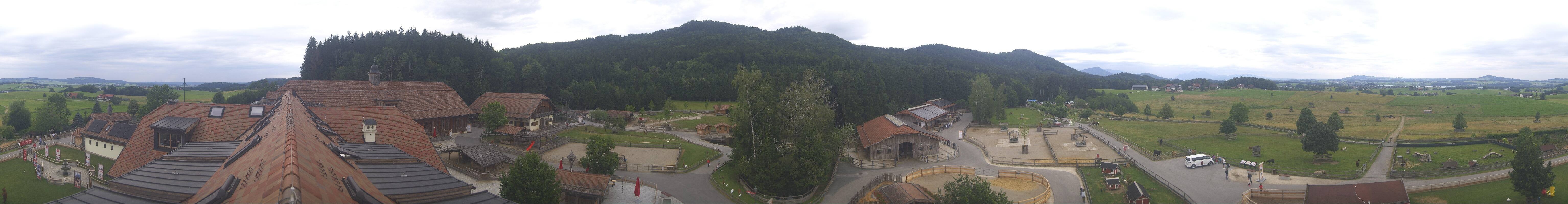 Archiv Foto Webcam Henndorf am Wallersee - Gut Aiderbichl