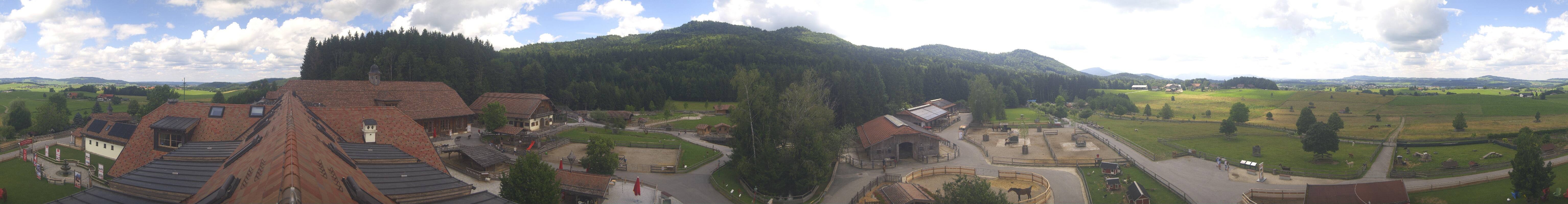 Archiv Foto Webcam Henndorf am Wallersee - Gut Aiderbichl