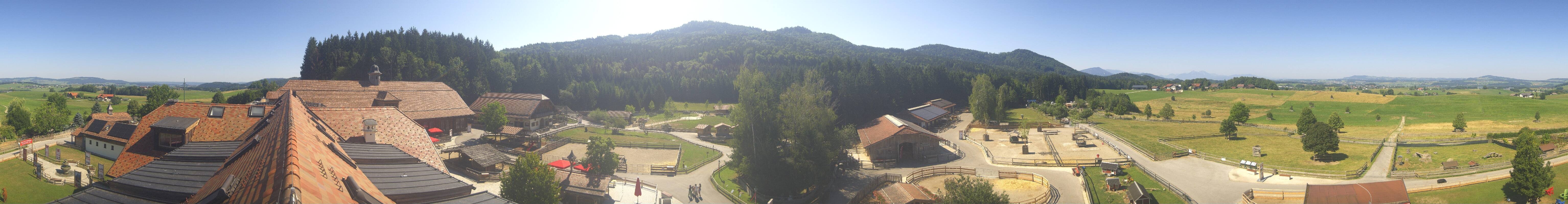 Archiv Foto Webcam Henndorf am Wallersee - Gut Aiderbichl