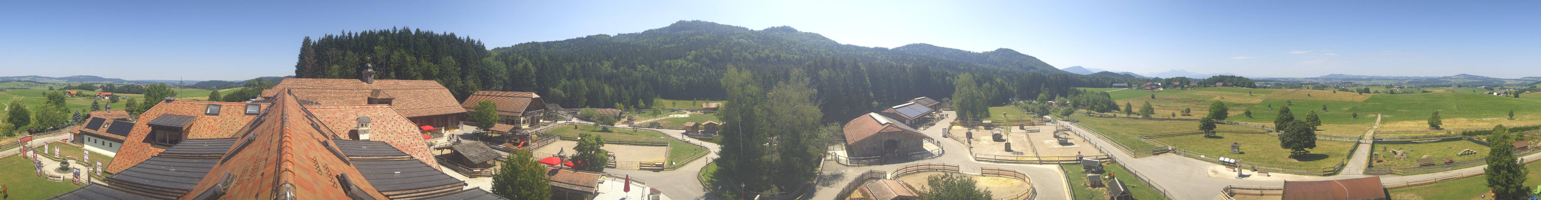 Archiv Foto Webcam Henndorf am Wallersee - Gut Aiderbichl