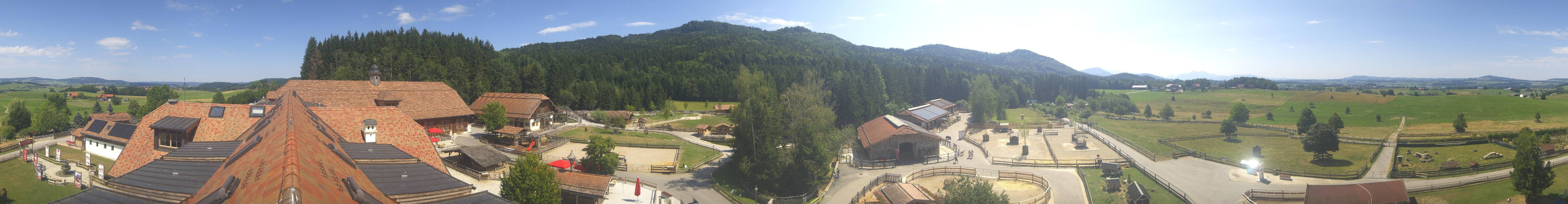 Archiv Foto Webcam Henndorf am Wallersee - Gut Aiderbichl
