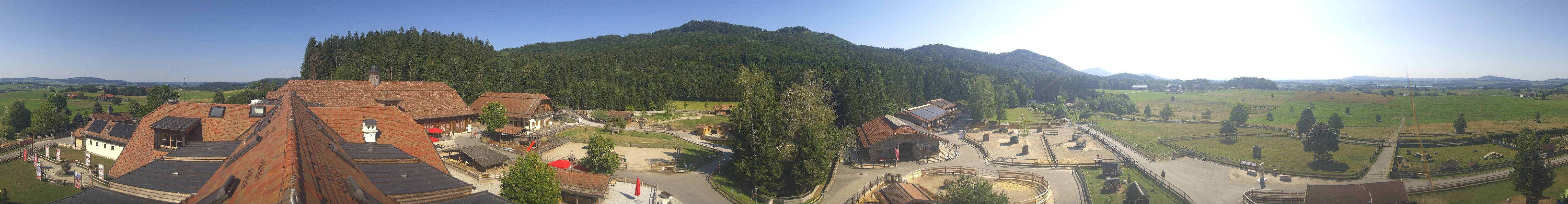 Archiv Foto Webcam Henndorf am Wallersee - Gut Aiderbichl