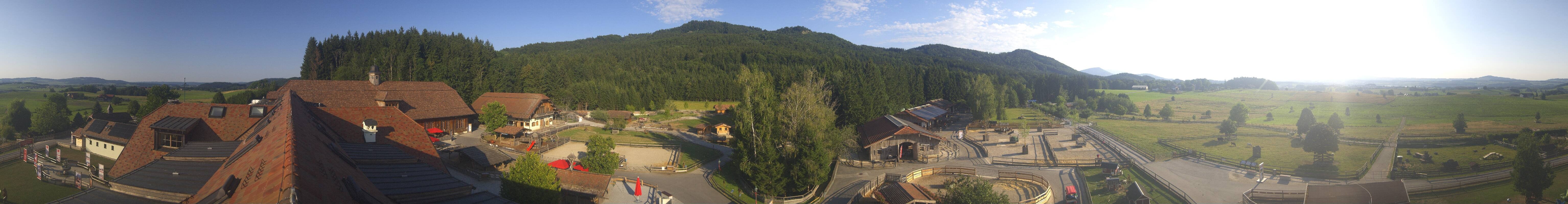 Archiv Foto Webcam Henndorf am Wallersee - Gut Aiderbichl