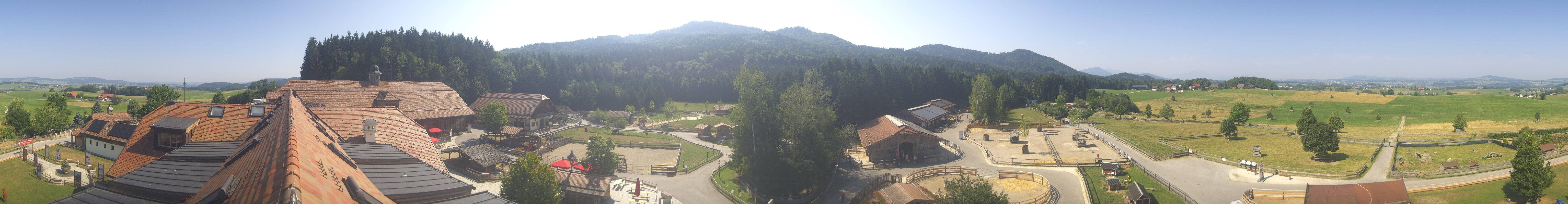 Archiv Foto Webcam Henndorf am Wallersee - Gut Aiderbichl