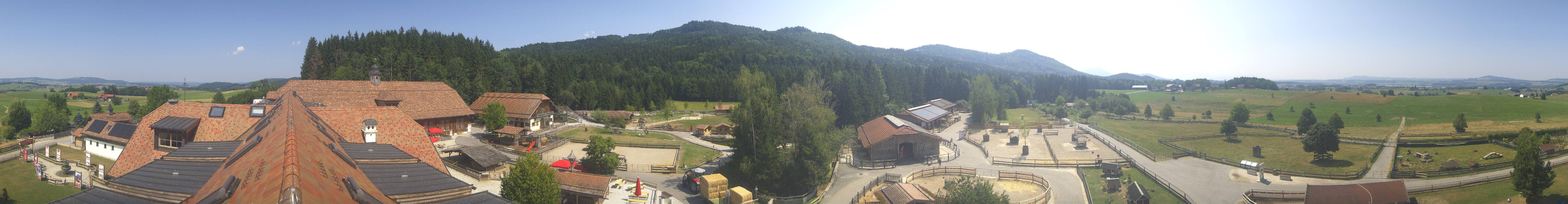 Archiv Foto Webcam Henndorf am Wallersee - Gut Aiderbichl