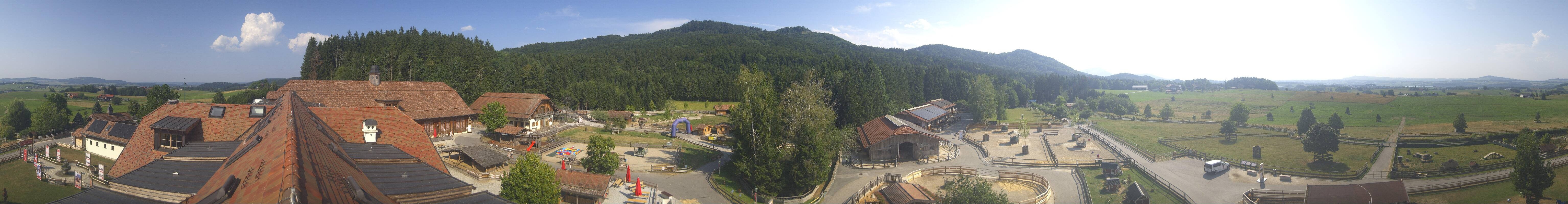 Archiv Foto Webcam Henndorf am Wallersee - Gut Aiderbichl