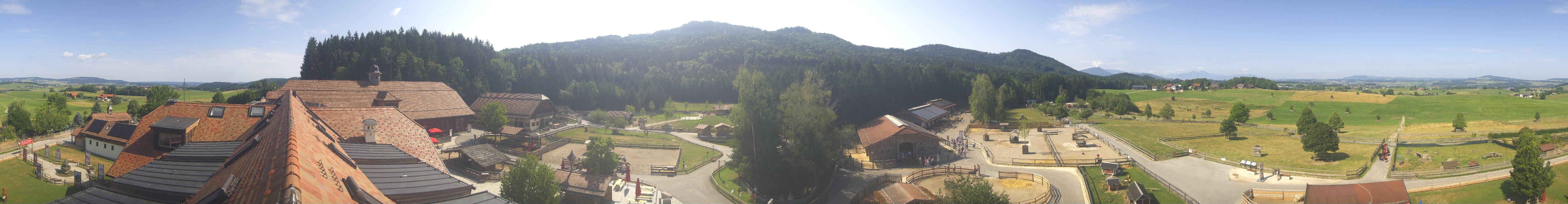 Archived image Webcam Gut Aiderbichl