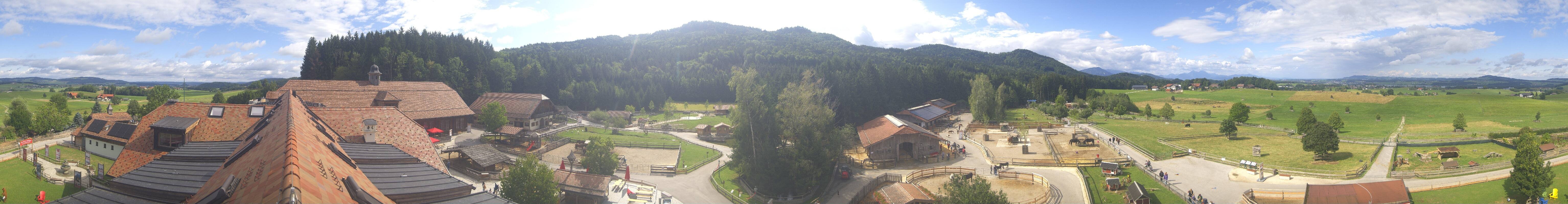 Archiv Foto Webcam Henndorf am Wallersee - Gut Aiderbichl