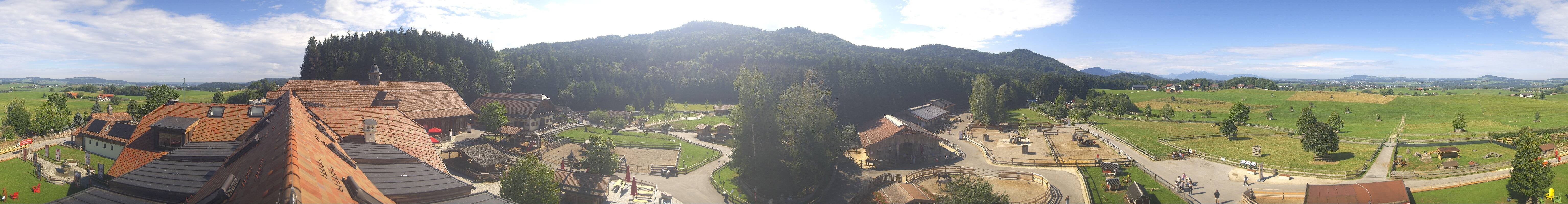 Archiv Foto Webcam Henndorf am Wallersee - Gut Aiderbichl