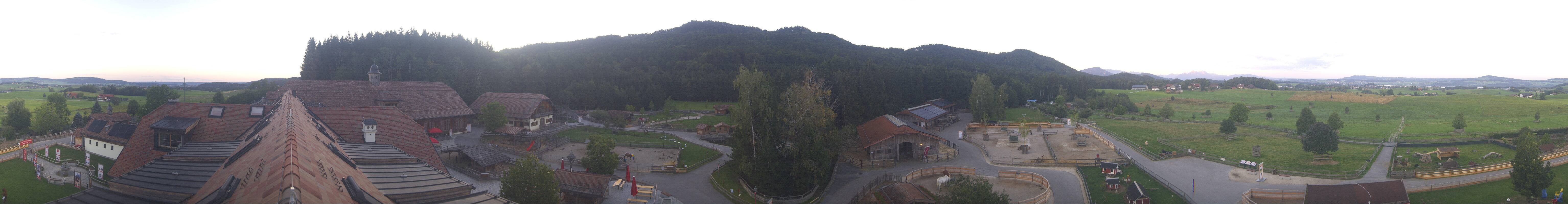 Archiv Foto Webcam Henndorf am Wallersee - Gut Aiderbichl