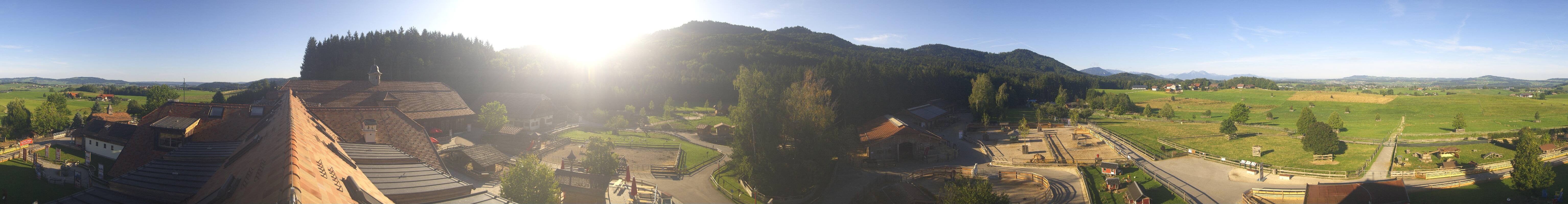 Archiv Foto Webcam Henndorf am Wallersee - Gut Aiderbichl