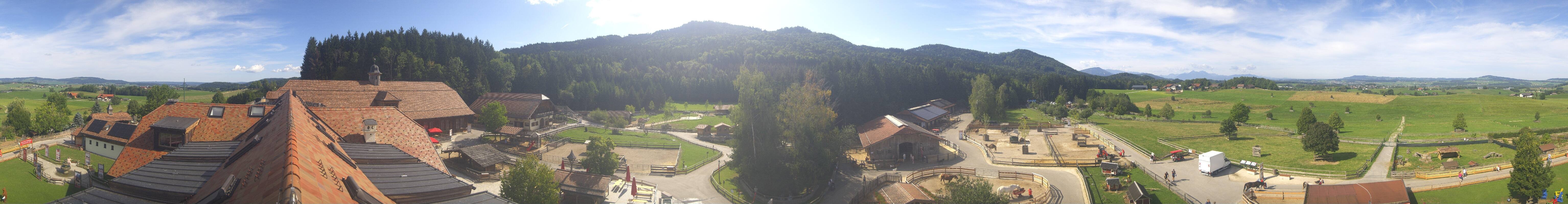 Archiv Foto Webcam Henndorf am Wallersee - Gut Aiderbichl