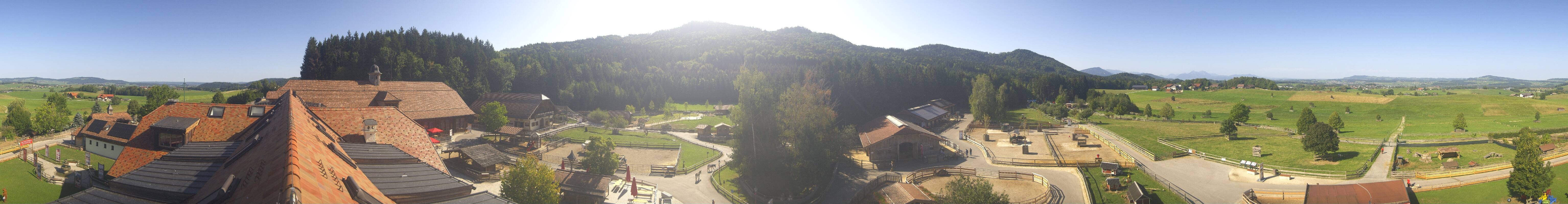 Archiv Foto Webcam Henndorf am Wallersee - Gut Aiderbichl