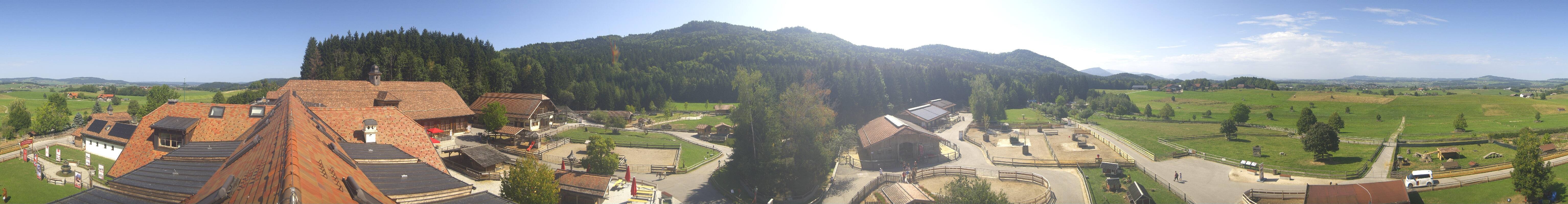 Archiv Foto Webcam Henndorf am Wallersee - Gut Aiderbichl