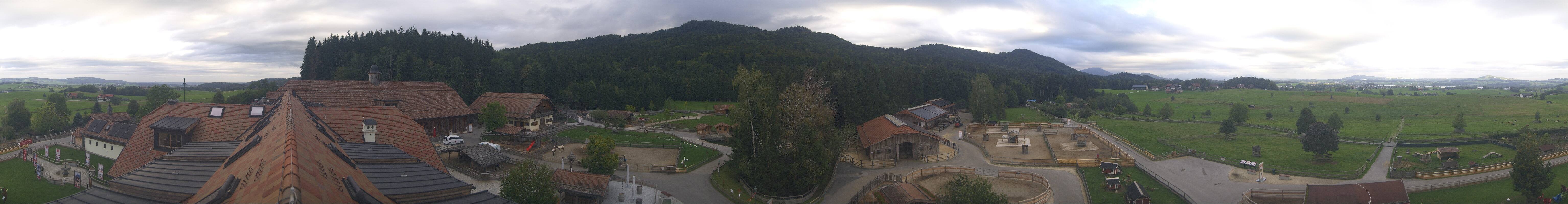 Archiv Foto Webcam Henndorf am Wallersee - Gut Aiderbichl