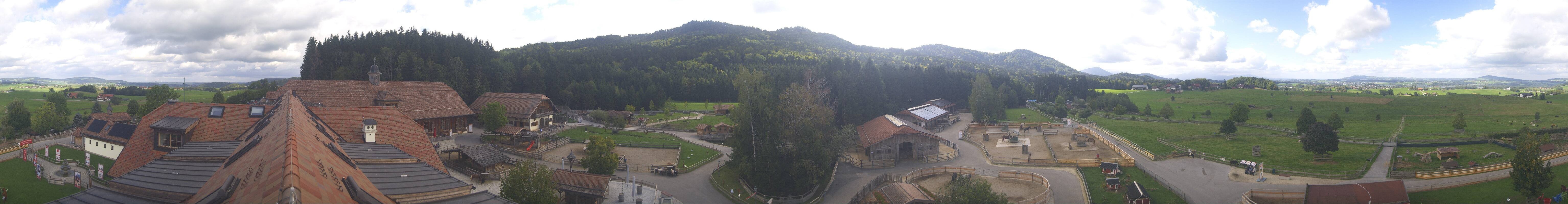 Archiv Foto Webcam Henndorf am Wallersee - Gut Aiderbichl