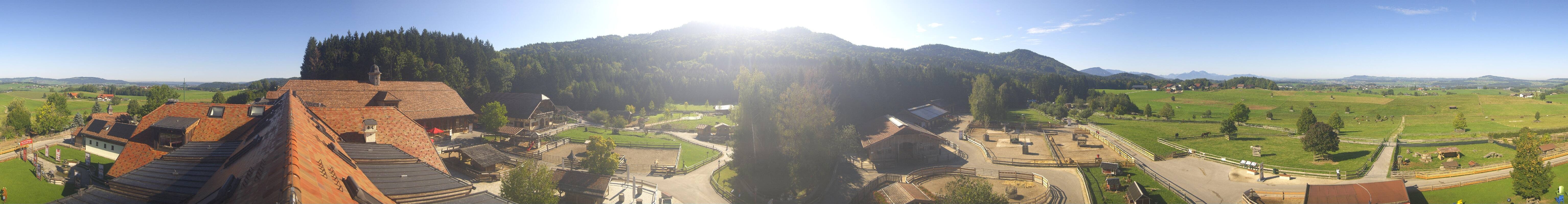 Archiv Foto Webcam Henndorf am Wallersee - Gut Aiderbichl