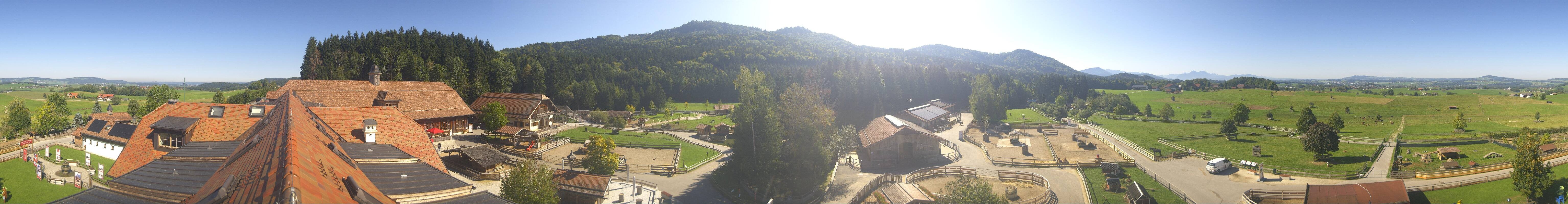 Archiv Foto Webcam Henndorf am Wallersee - Gut Aiderbichl
