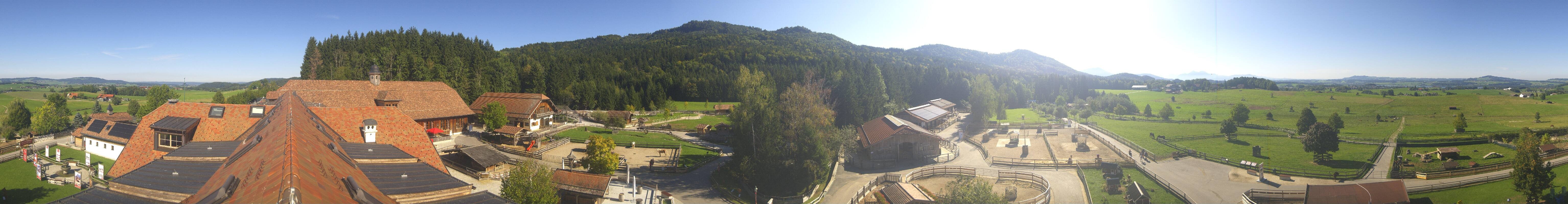 Archiv Foto Webcam Henndorf am Wallersee - Gut Aiderbichl